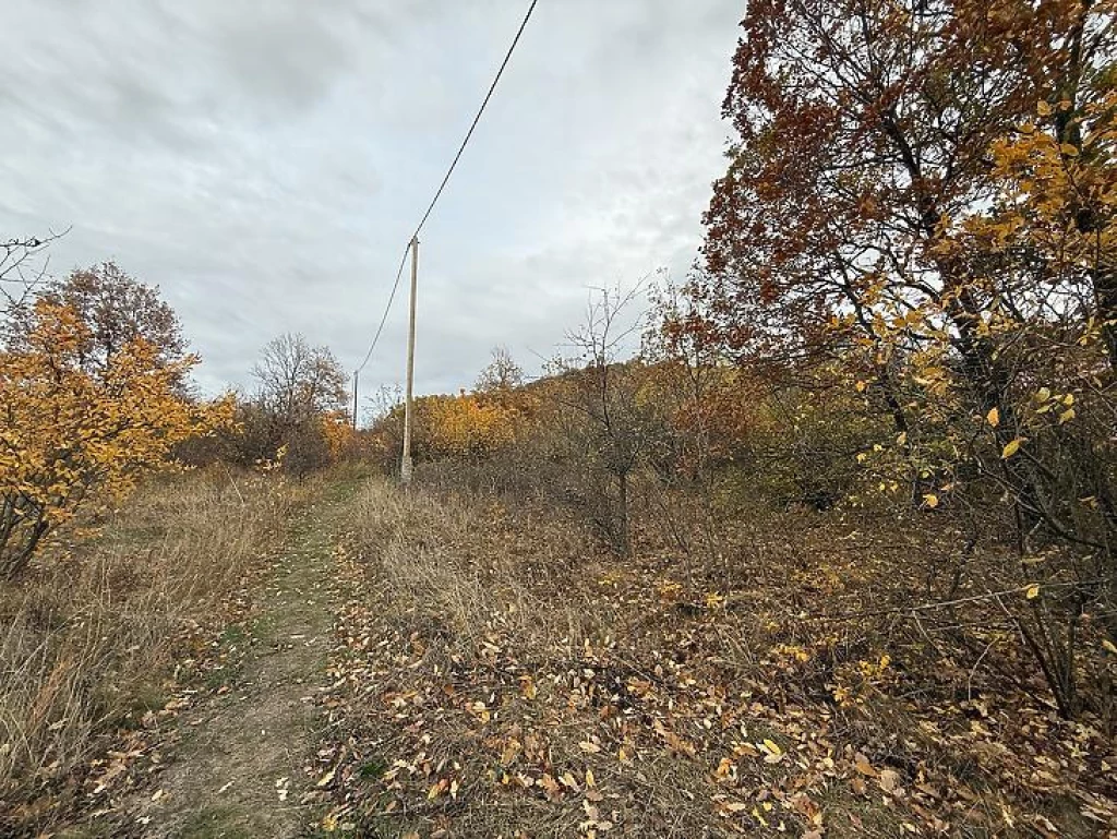 Eladó külterületi telek, Pomáz