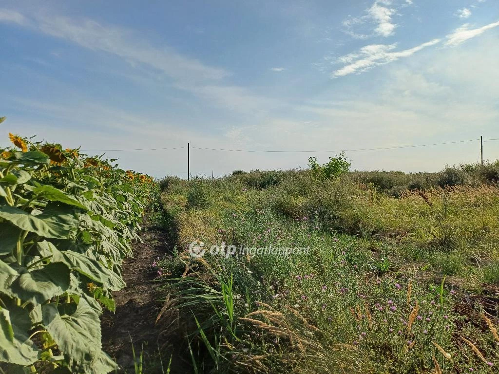 For sale building plot, Kömlő