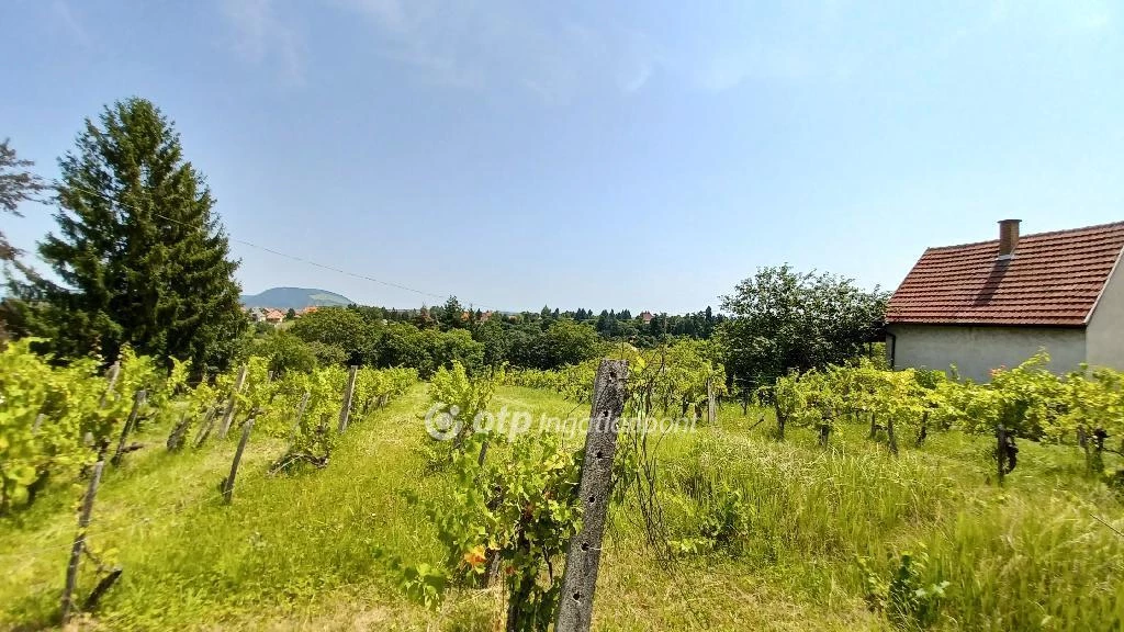 For sale periphery plot, Eger, Szépasszonyvölgy utca