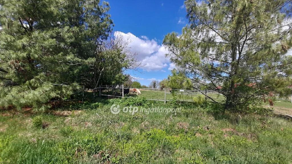 Eladó Fejlesztési terület, Eger