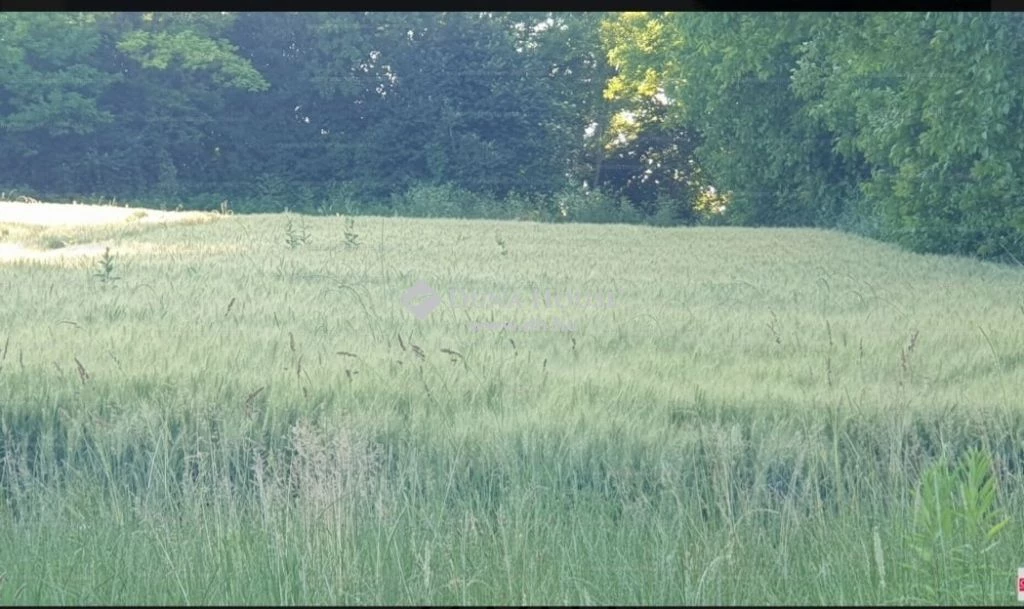 For sale building plot, Alsópáhok