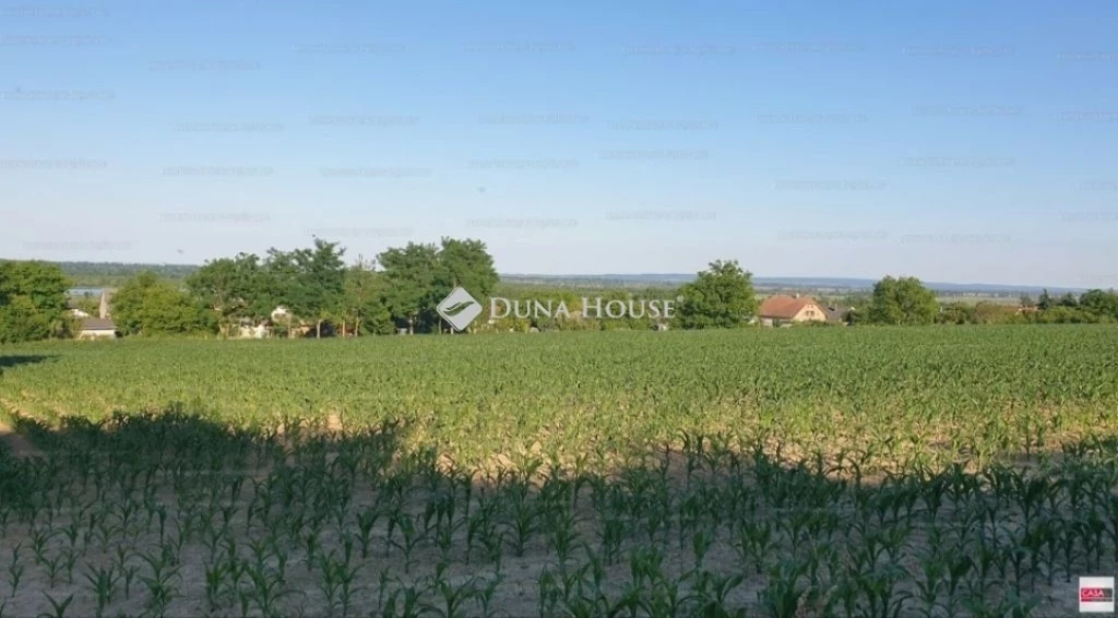 c3-1-name c2-50-name, Alsópáhok