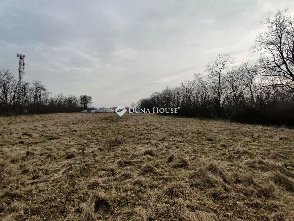 c3-1-name c2-50-name, Gönyű