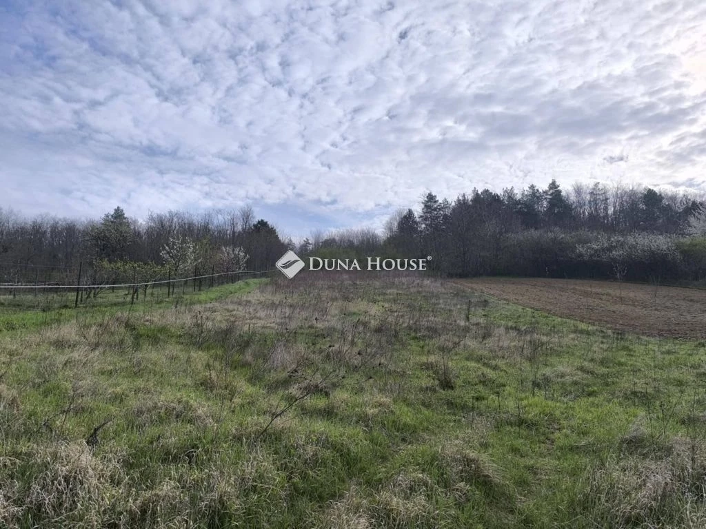 Eladó telek, Sokorópátka