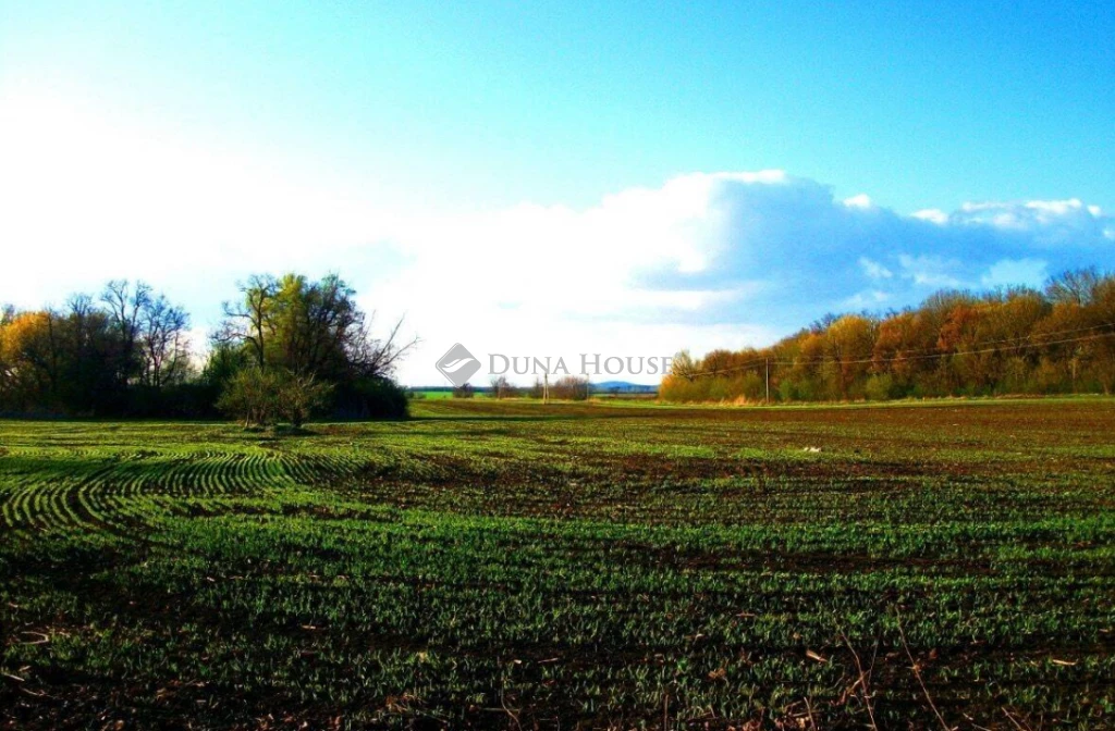 c3-1-name c2-84-name, Mosonudvar