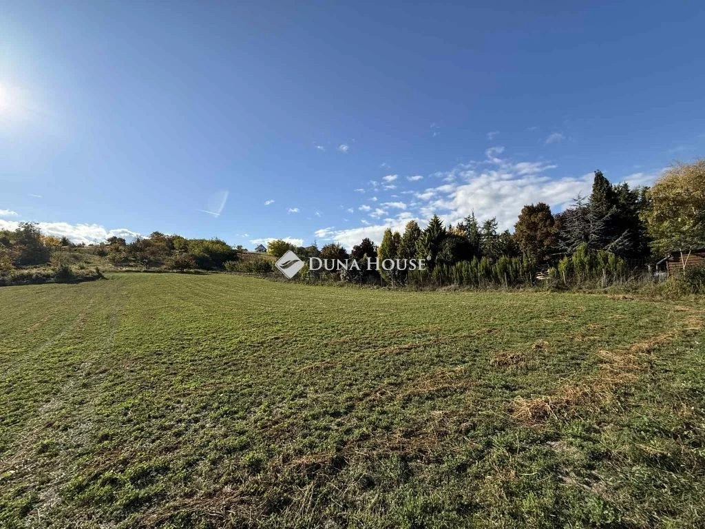 Eladó telek, Nyúl