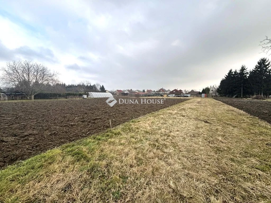 For sale building plot, Dunakiliti, Gyümölcsös utca