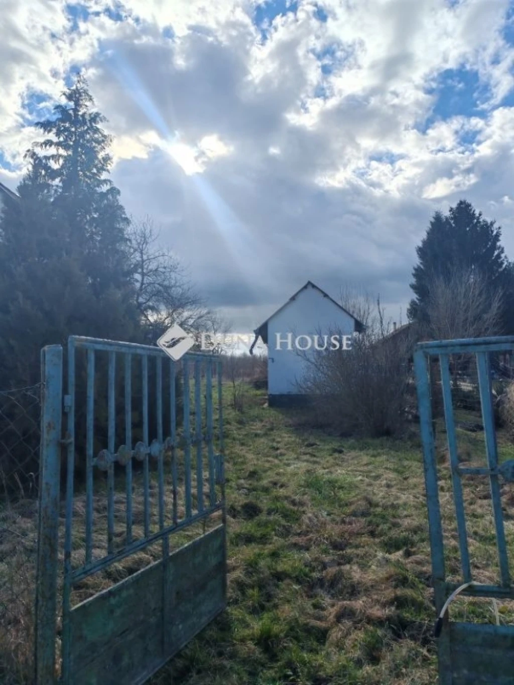 c3-1-name c2-53-name, Tét