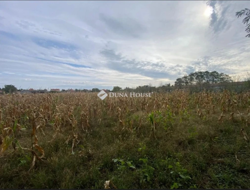 Eladó telek, Szilsárkány