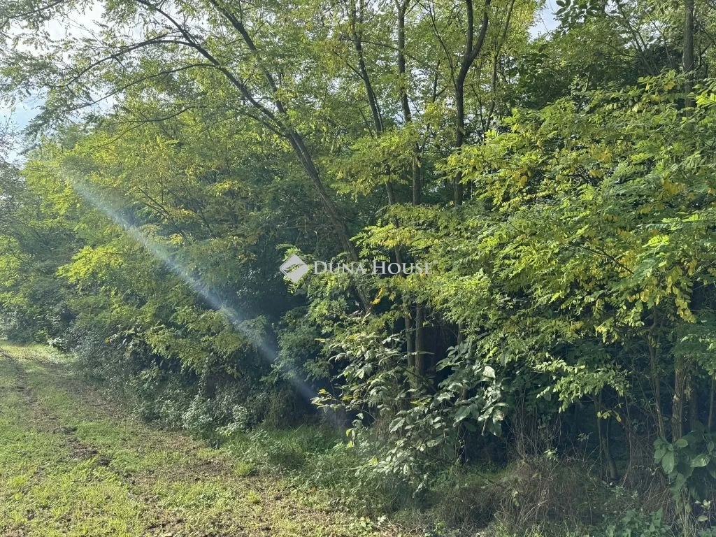 Eladó telek, Tényő