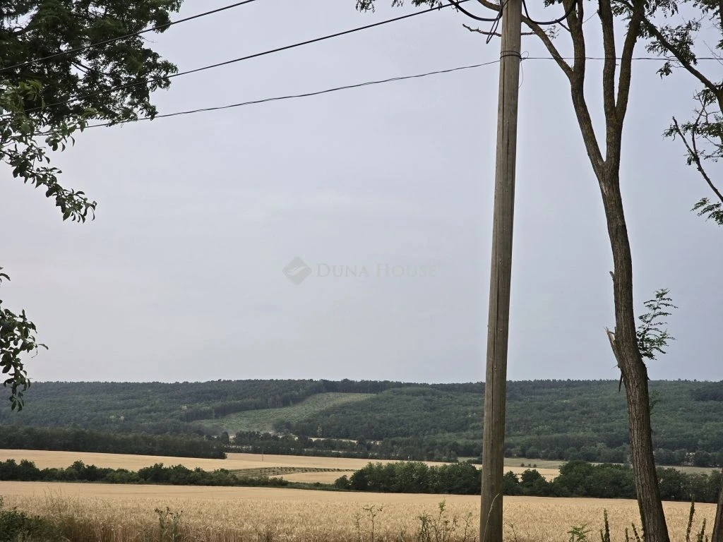 Eladó ház, Tényő