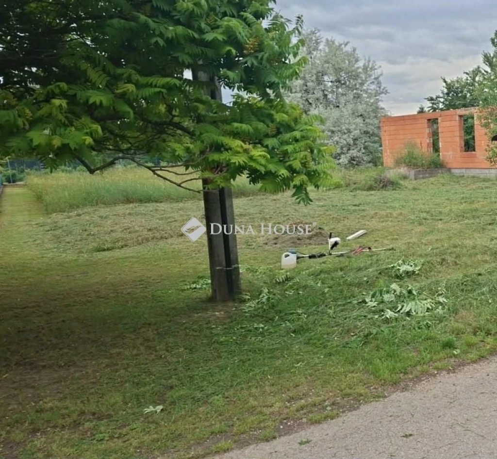 Eladó telek, Kulcs