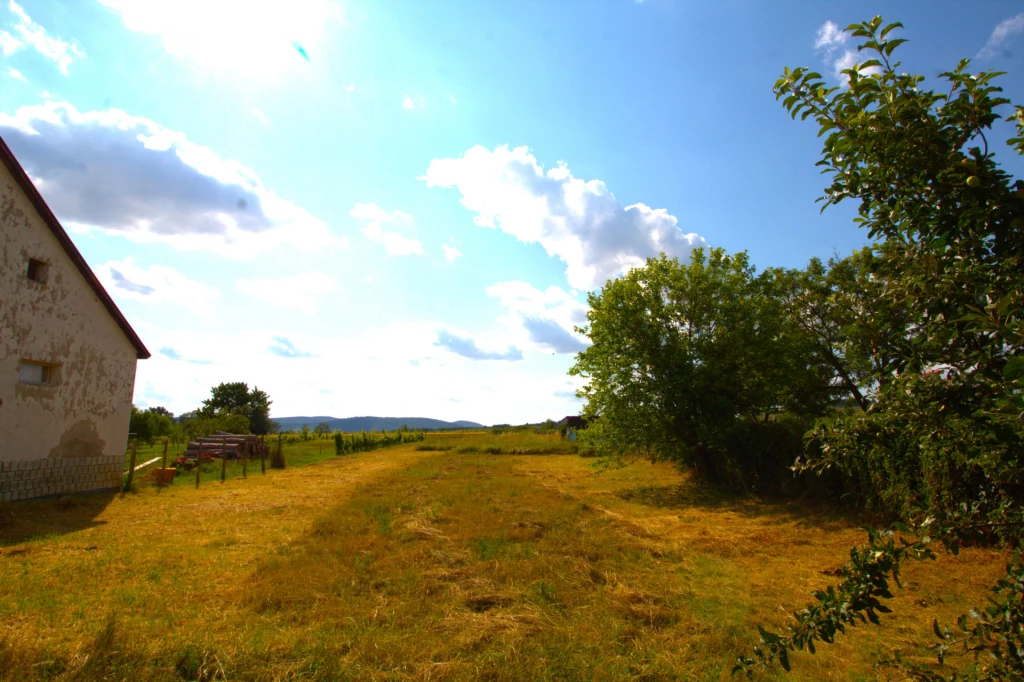 For sale building plot, Mád, Bartók Béla utca, Bartók Béla utca