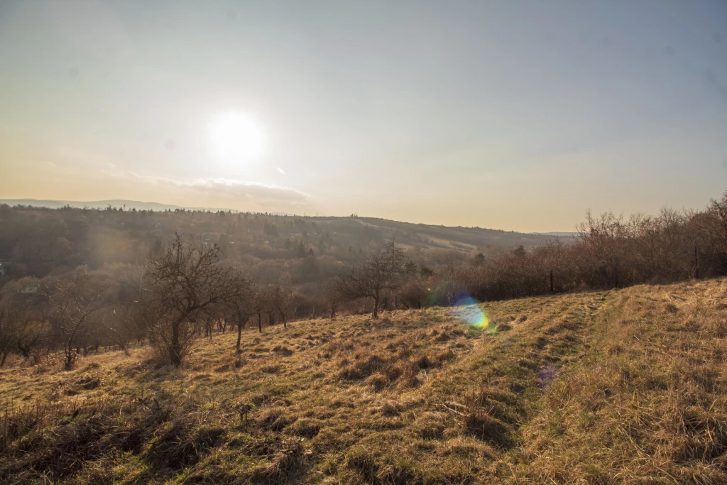 Zártkert a Közdomb utca végén, a Bandzsalgó dűlőben.
