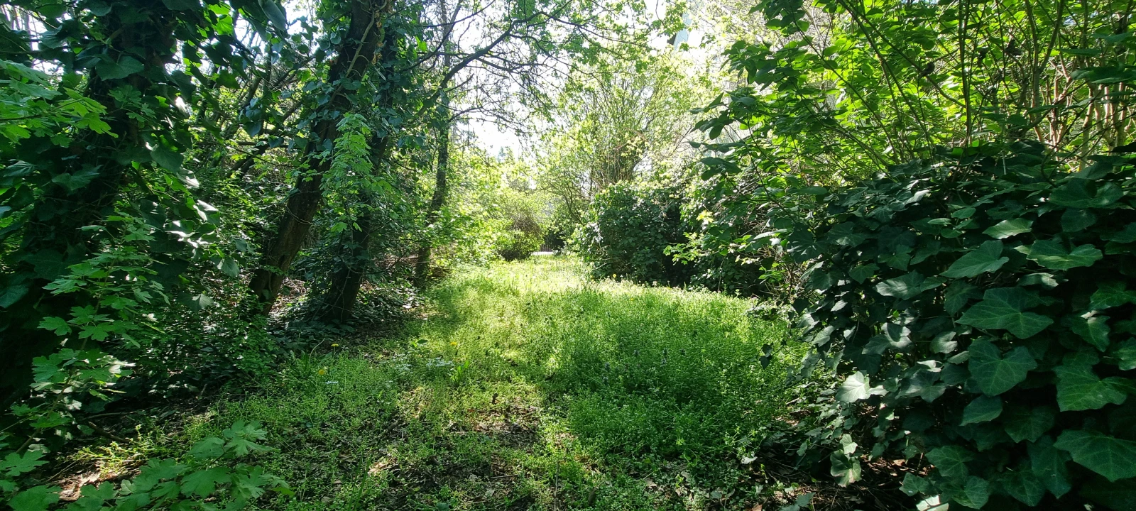 c3-1-name c2-50-name, Érd