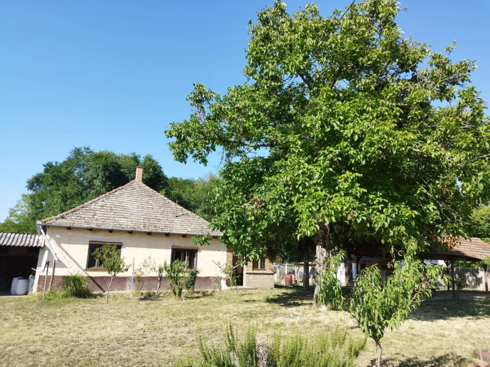 For sale house, Császártöltés