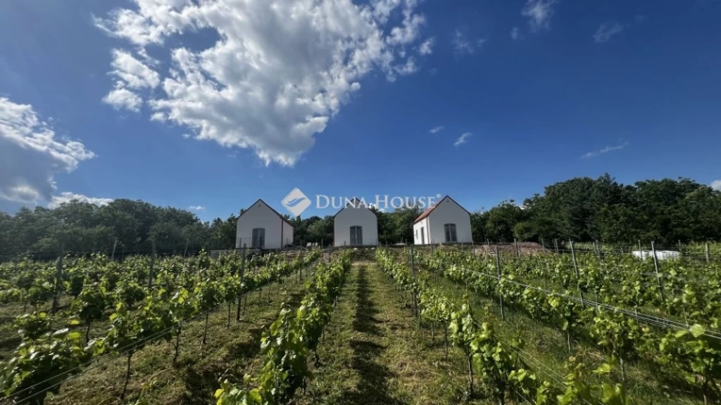 For sale house, Paloznak