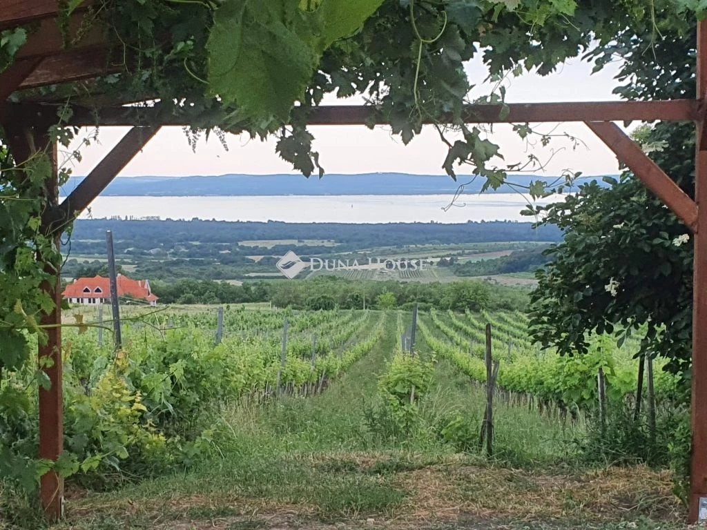 Eladó ház, Mencshely