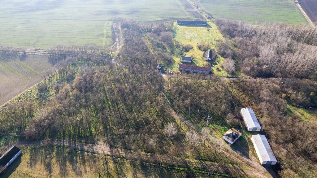 Eladó 5,5 Hektáros Ipari és Mezőgazdasági Terület az M6 és M8 Autópályák Között