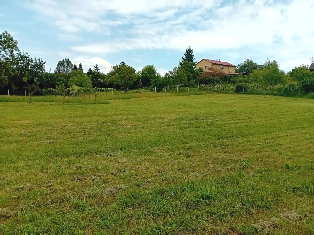 Építkeznél? Befektetnél? Esztergomban megtaláltad az ideális telket!