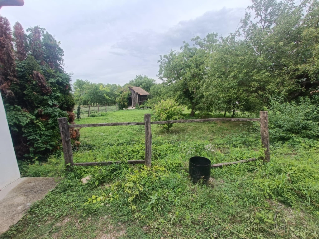 For sale house, Bakonybánk