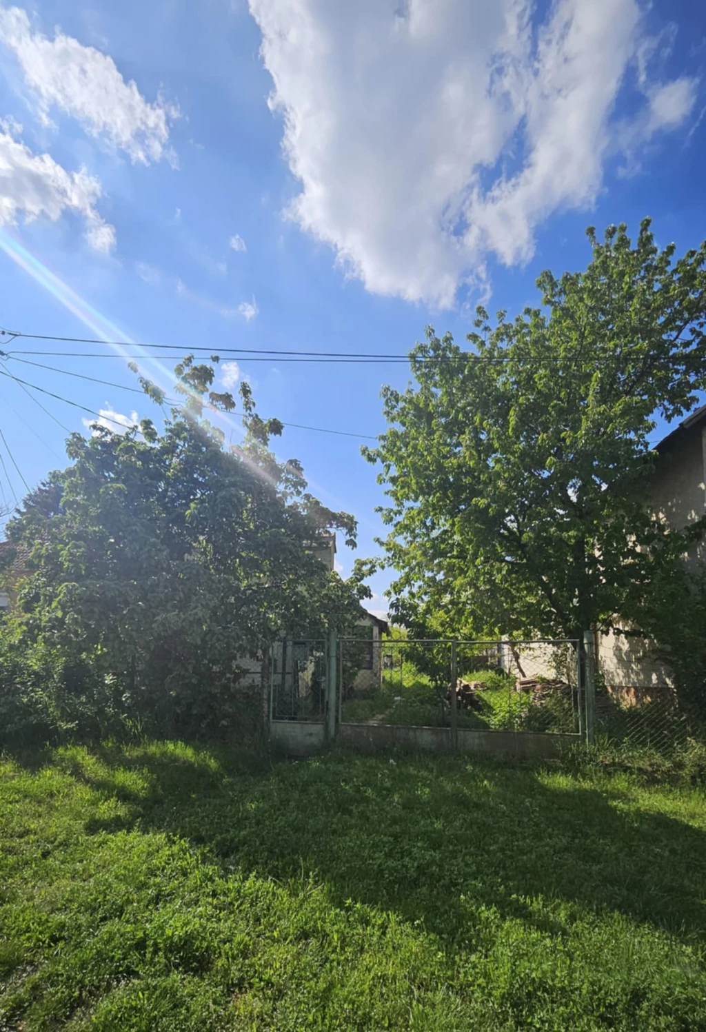 For sale building plot, Dad