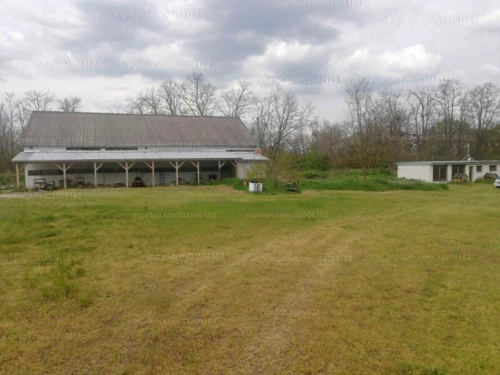 For sale industrial plot, Kerékteleki