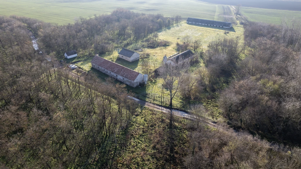Eladó mezőgazdasági terület állattartásra, növénytermesztésre Fejérben, Mezőfalva külterületén