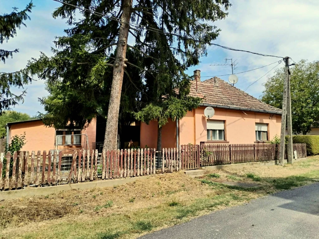 c3-1-name c2-1-name, Nagyszakácsi