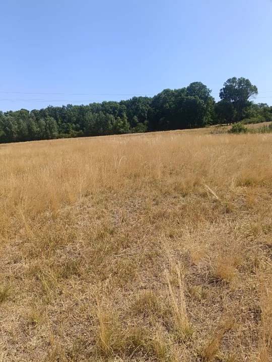 Eladó építési telek, Debrecen