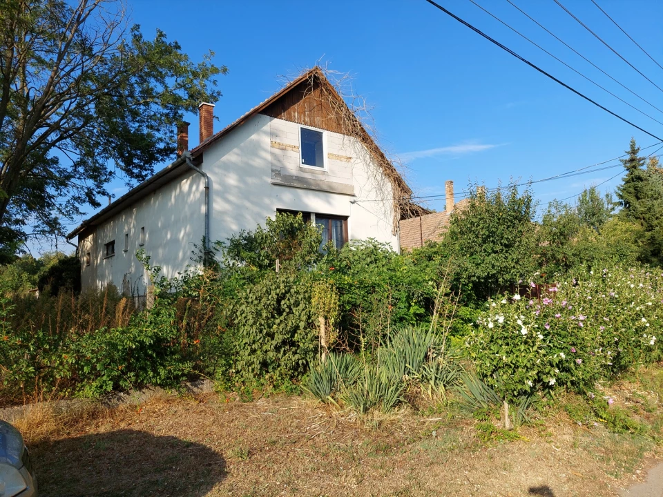 For sale house, Kóka