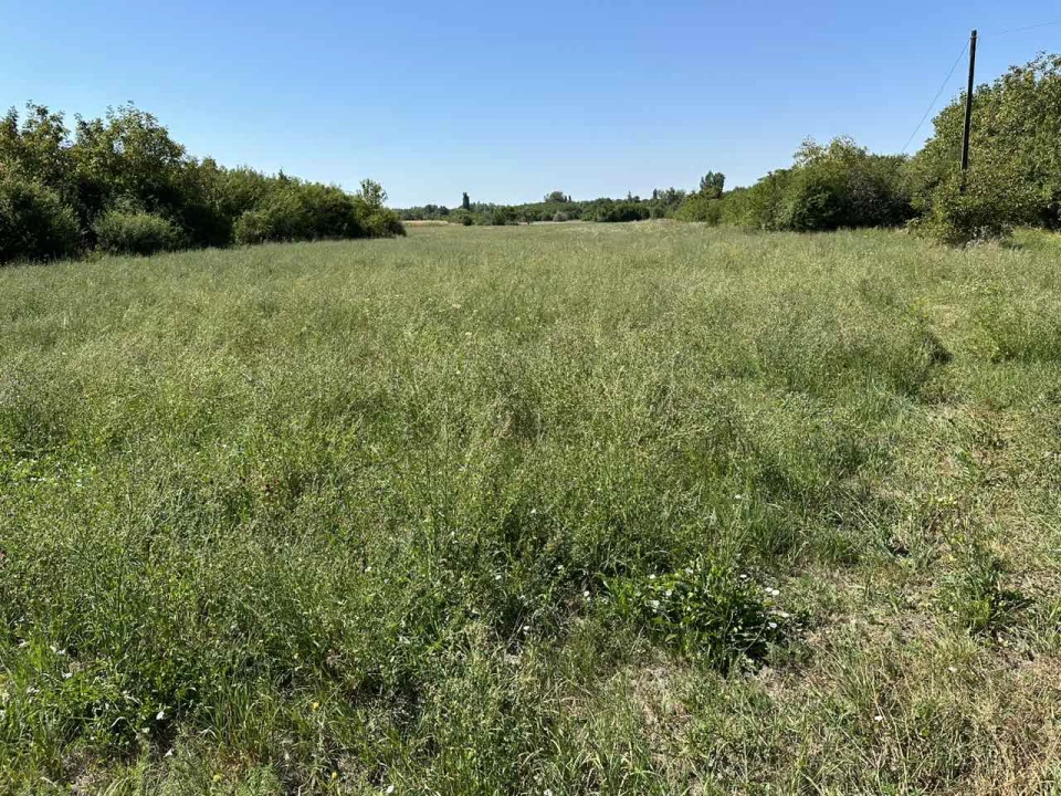 For sale building plot, Gyula