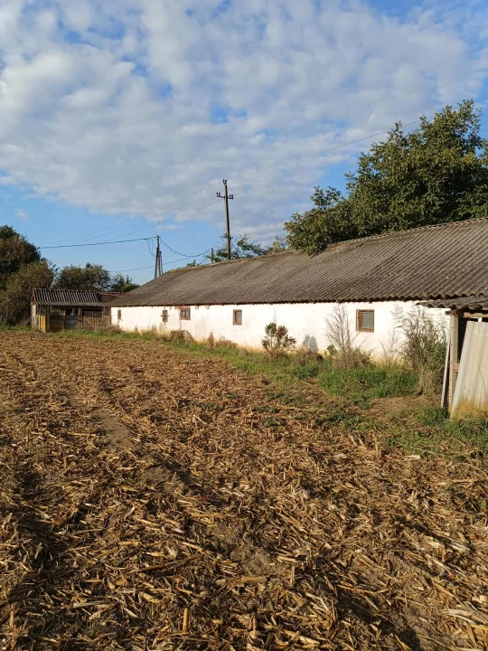 For sale other agricultural, Gyula