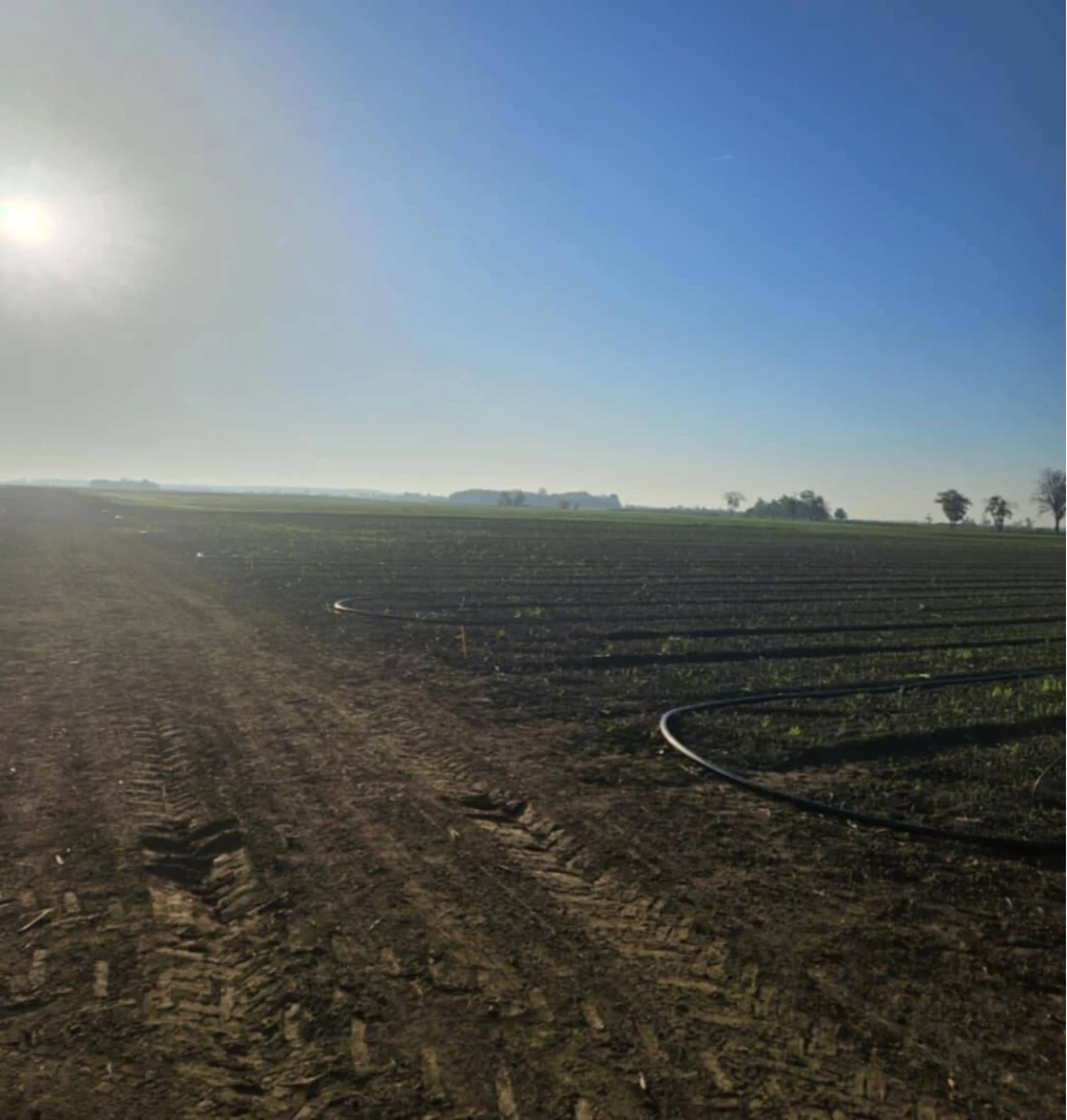 Telekgerendás mellett szántóföld eladó