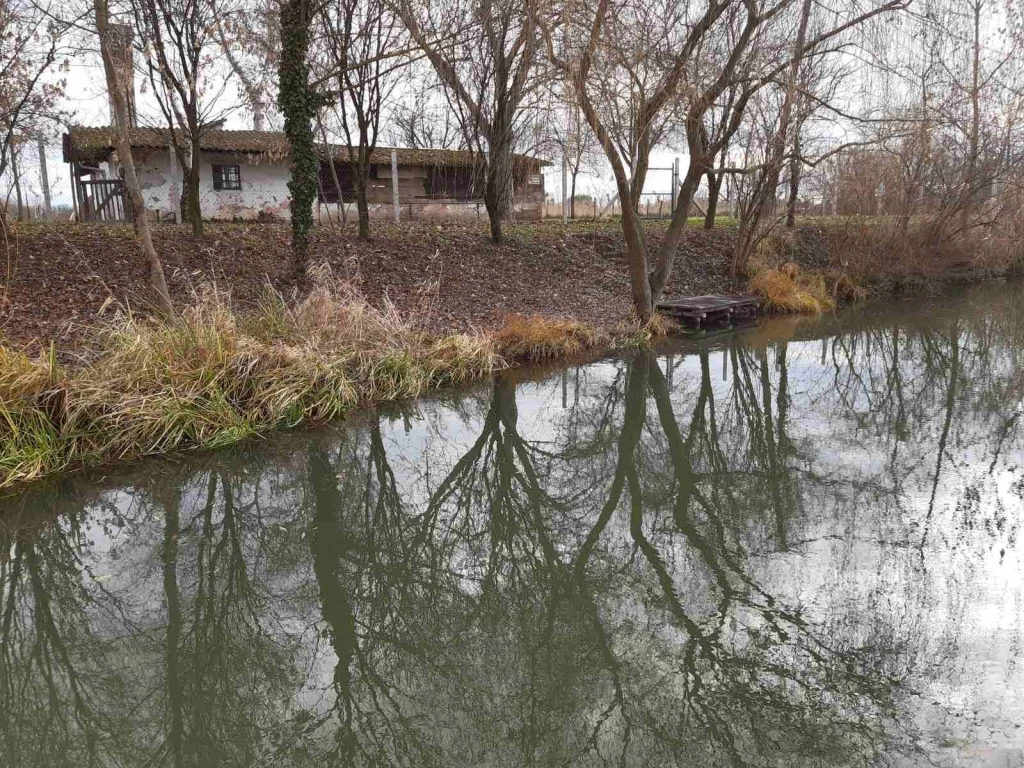 c3-1-name c2-81-name, Gyula