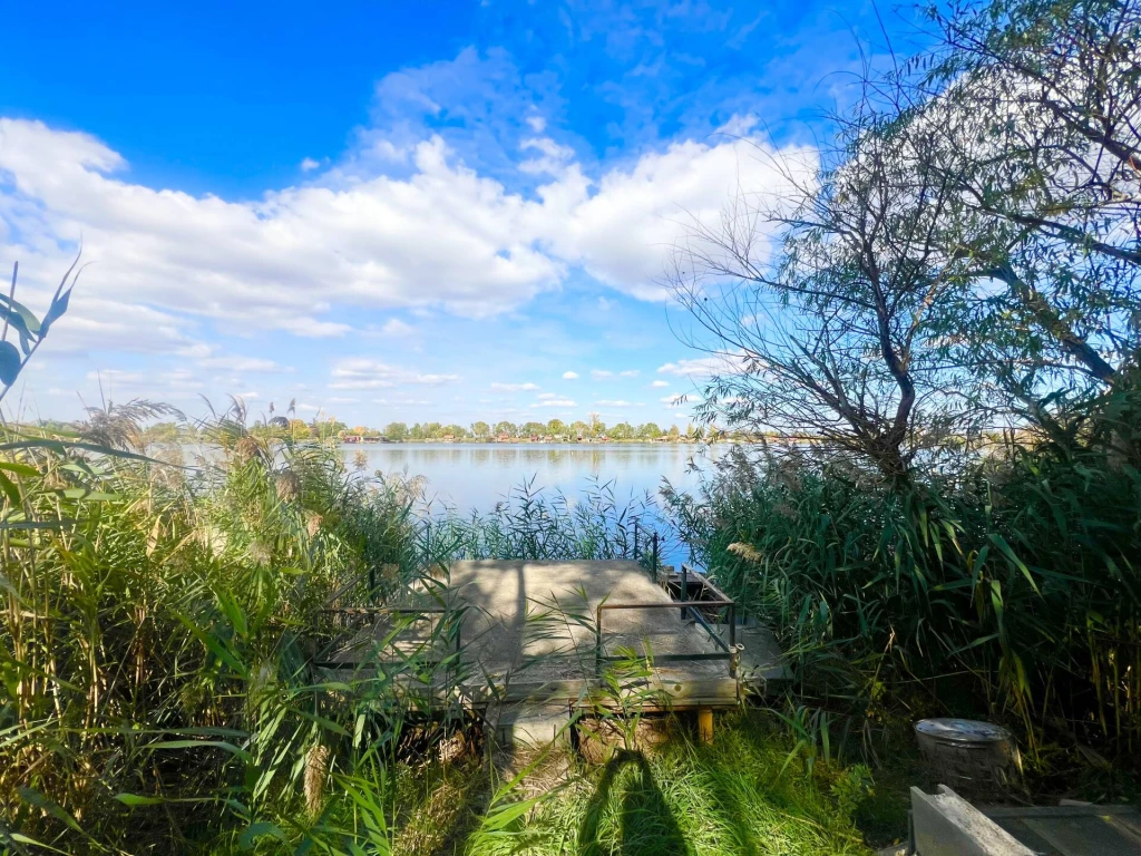 Természet, csend, horgászat – egy telek, ahol valóban kikapcsolhat.