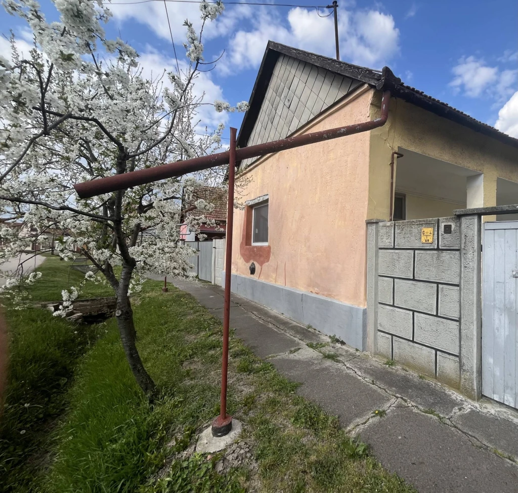 Eladó parasztház Okányban