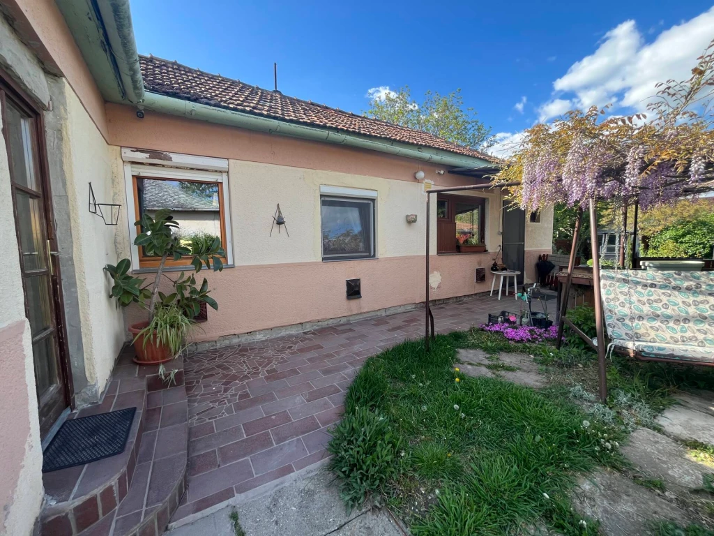 c3-1-name c2-1-name, Gyula