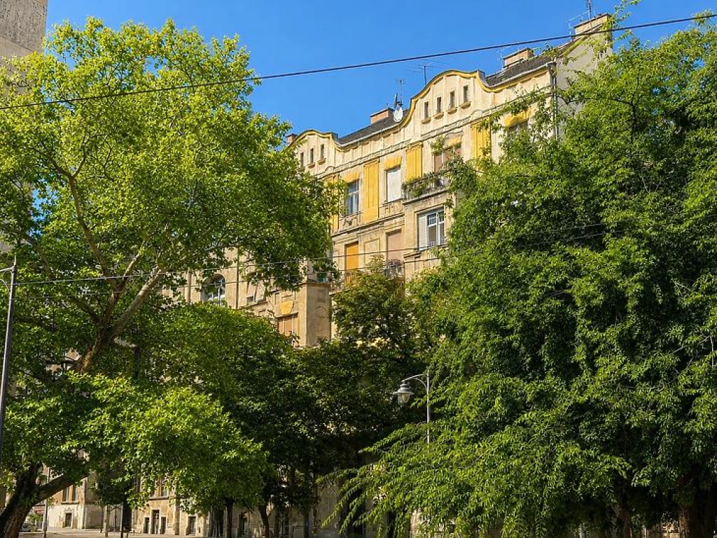 c3-1-name c2-19-name, Budapest II. kerület, Rózsadomb