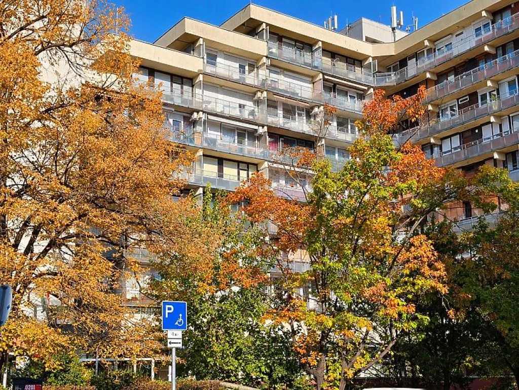 c3-1-name c2-20-name, Budapest II. kerület, Víziváros II. ker