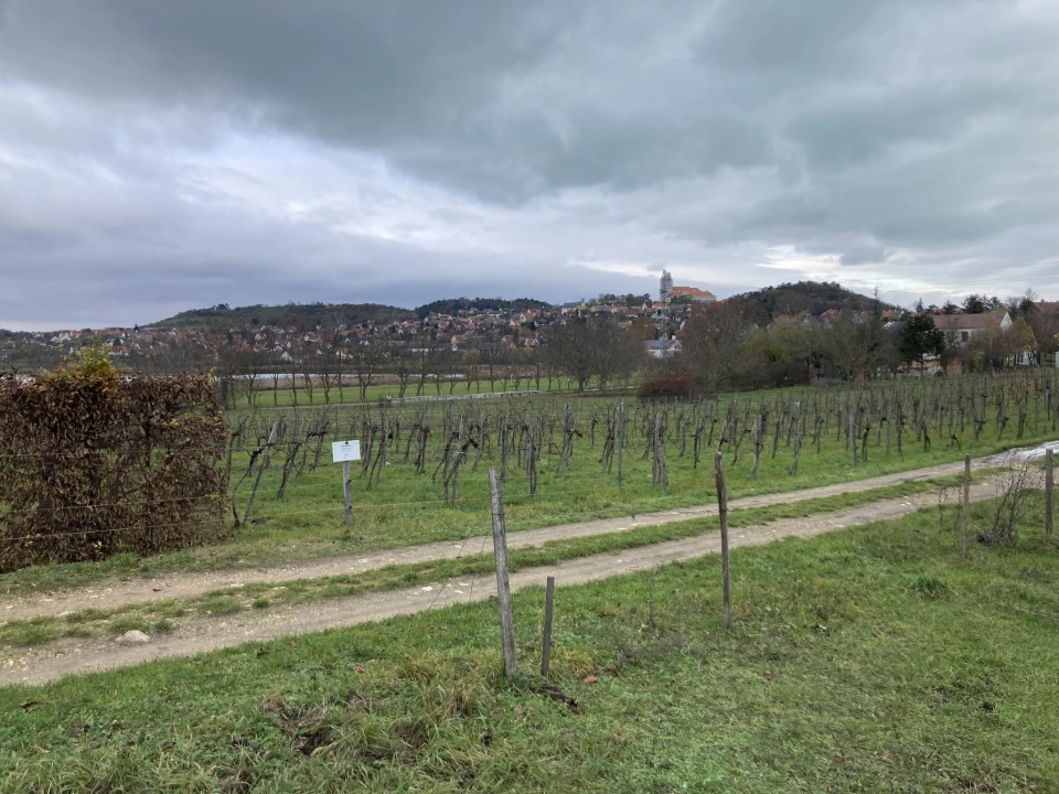 Eladó szántóföld, legelő, Tihany