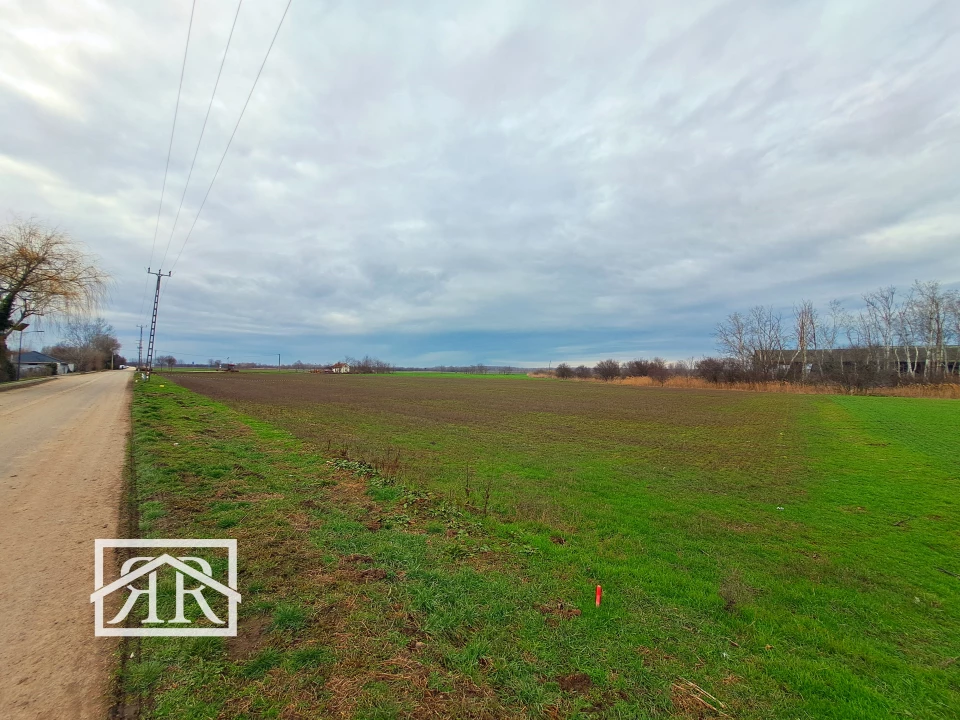 Eladó egyéb telek, Deszk