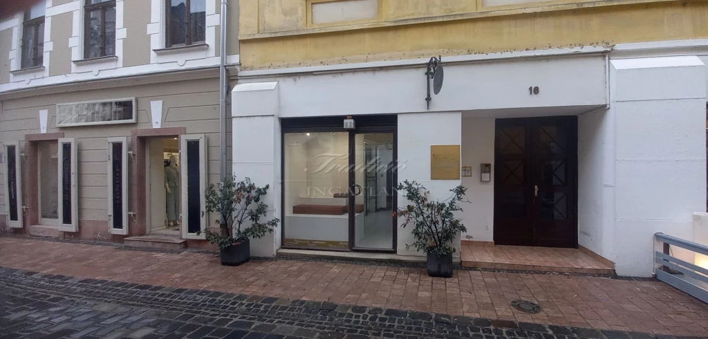 For rent store, Győr, Győr-Belváros