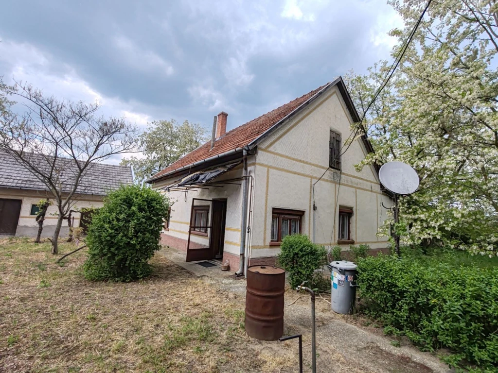 For sale house, Csongrád, Bokros