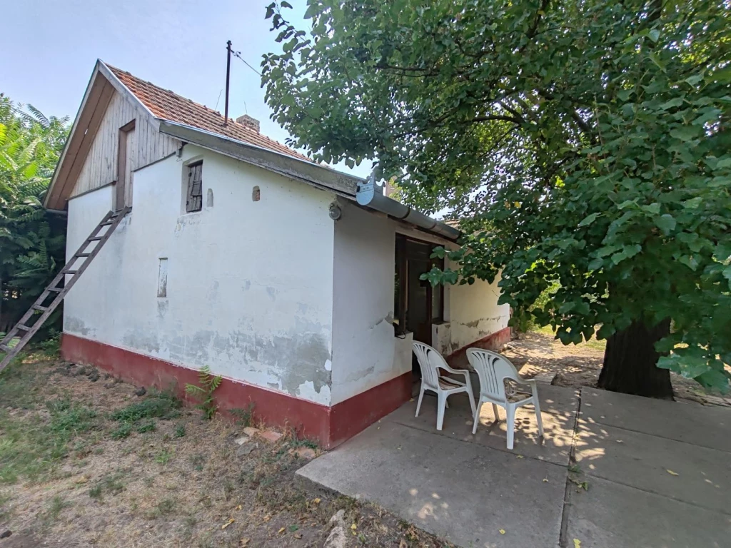 For sale house, Csongrád