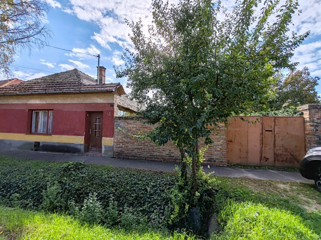 For sale house, Csongrád