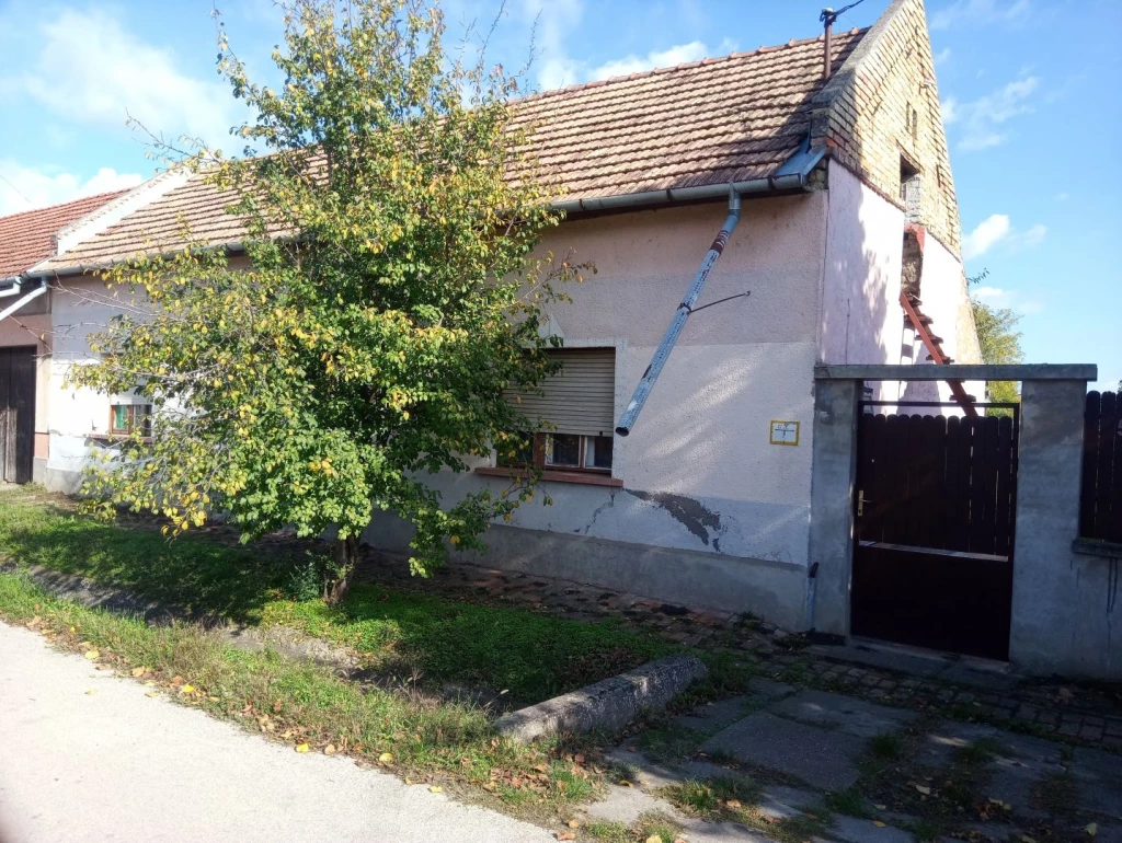 For sale house, Csongrád