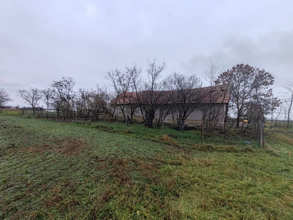 For sale house, Csanytelek