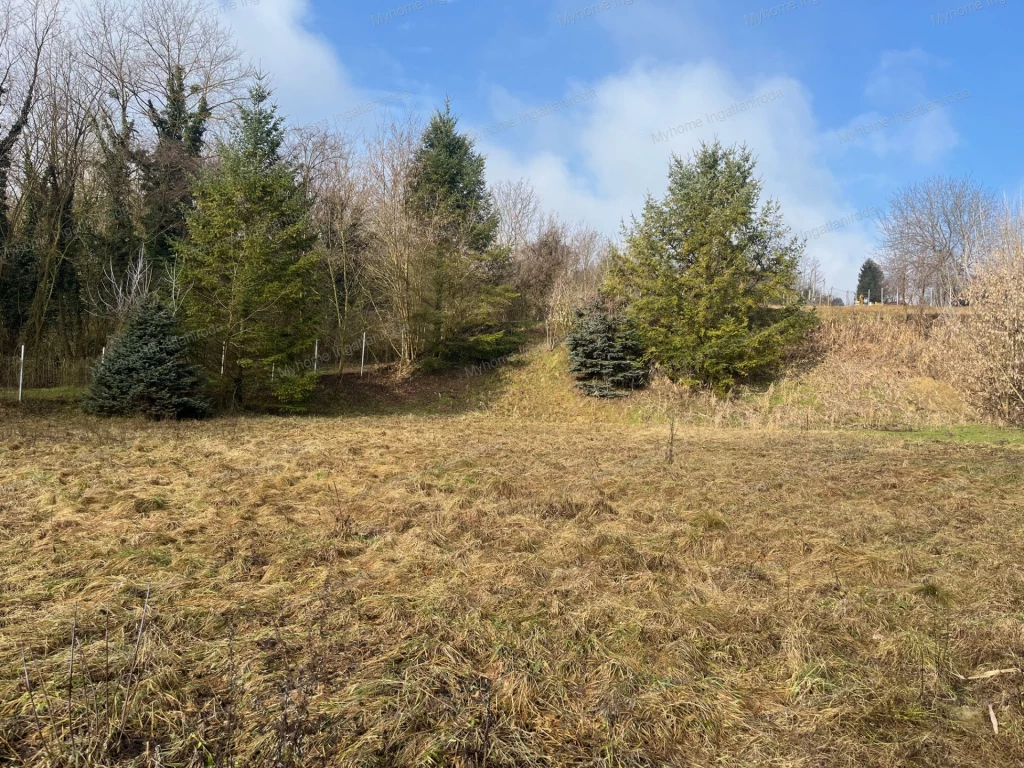 c3-1-name c2-50-name, Kehidakustány, Kehida