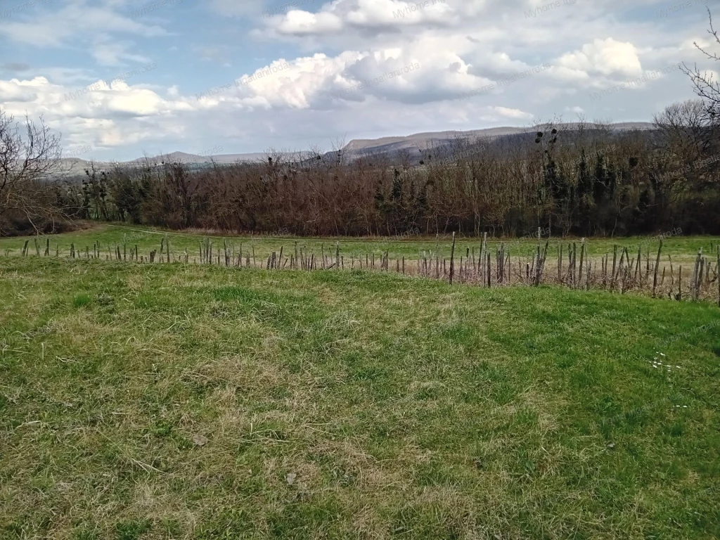Keszthelytől és a Balatonparttól 12 km-re Karmacson 3 771 nm zártkert és szántó pincével eladó